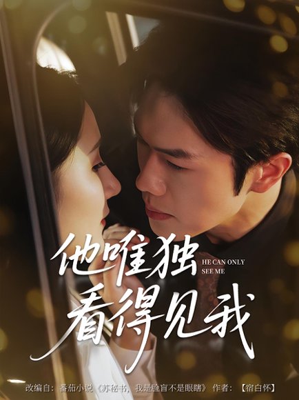 他唯独看见我（80集） 高清完整版