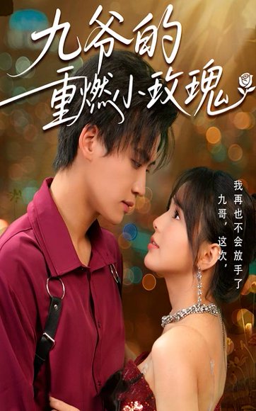 九爷的重燃小玫瑰（67集）罗琼&张洪鸣 高清完整版