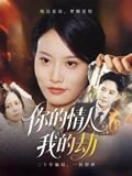 你的情人我的劫（30集）李永鑫 高清完整版