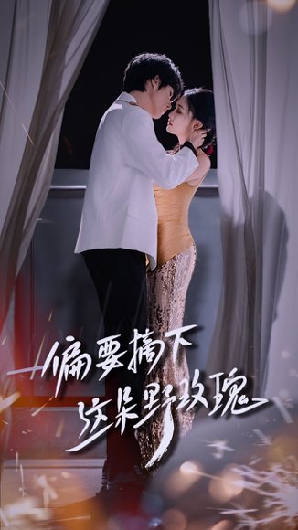 偏要摘下这朵野玫瑰（60集）燕颢元＆张亚迪 高清完整版